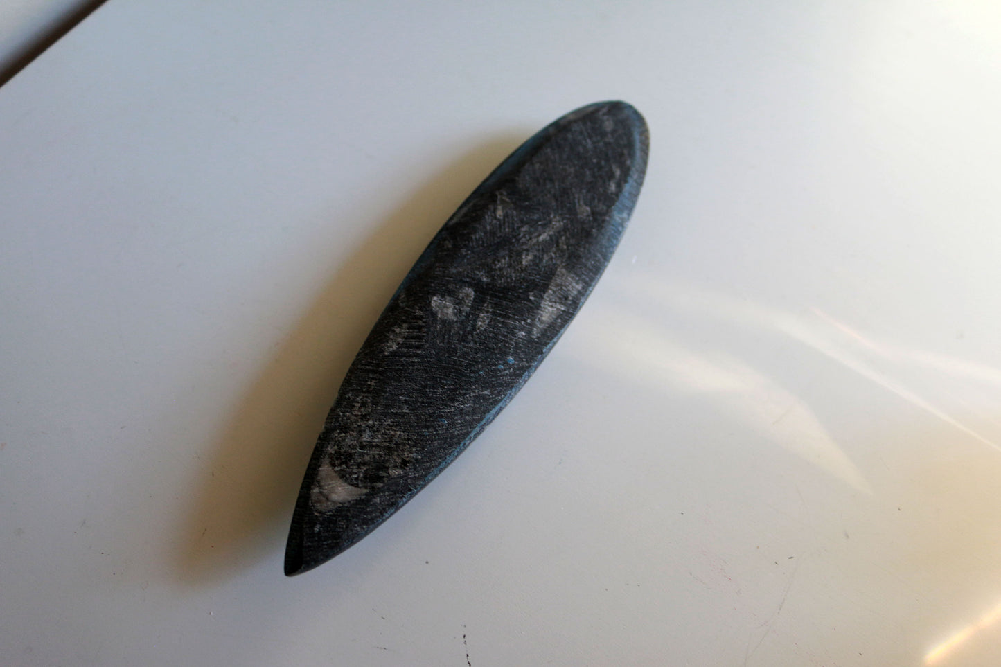 Orthoceras Fossil Spear (6in)