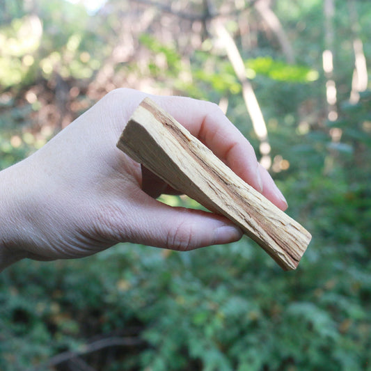 Palo Santo Stick