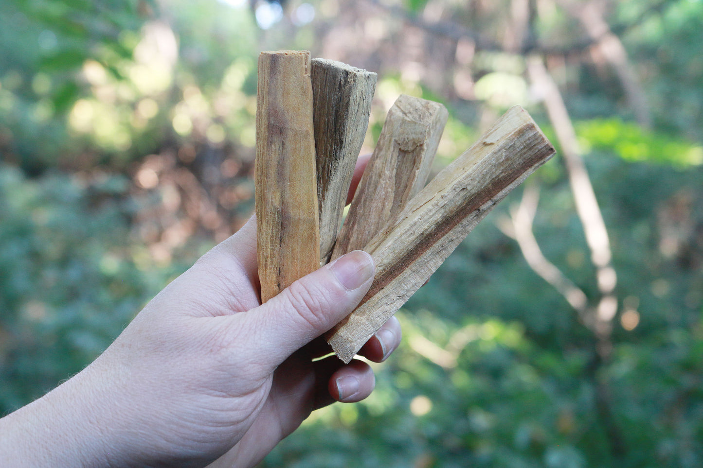 Palo Santo Stick