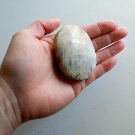 Moonstone Palm Stone (2.5 in)