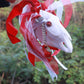 Peppermint Mari Lwyd Ornament