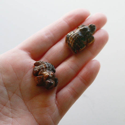 Tigers Eye Crocodile (1 in)