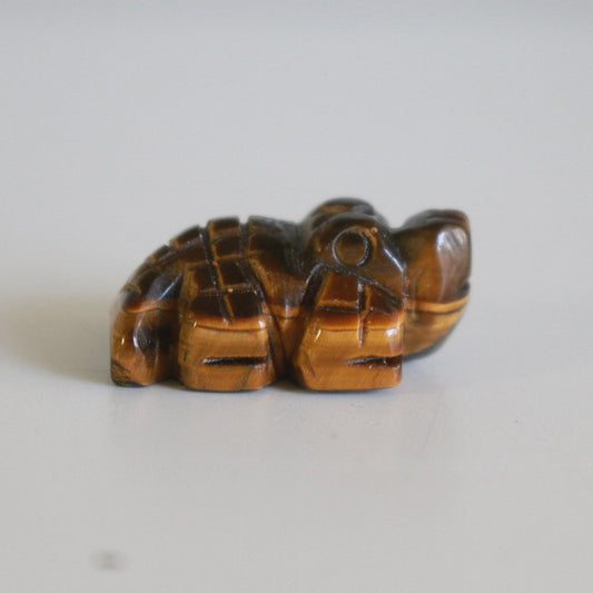 Tigers Eye Crocodile (1 in)