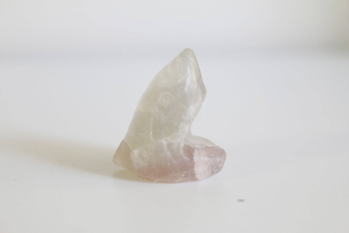 Fluorite Shark Head (1 in)