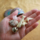 Beast Meditation : Bone Throwing / Osteomancy Set