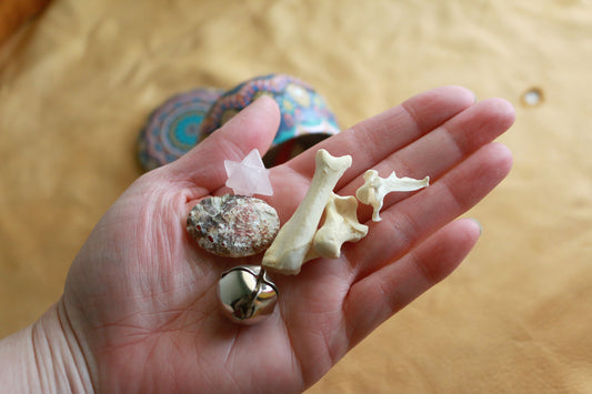 Beast Meditation : Bone Throwing / Osteomancy Set