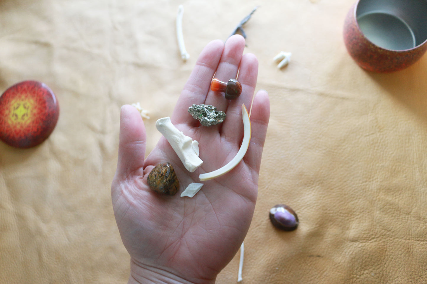 Land & Sea : Bone Throwing / Osteomancy Set