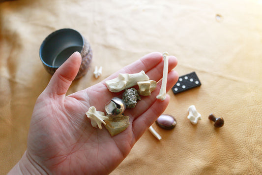 Pieces of the Past : Bone Throwing / Osteomancy Set