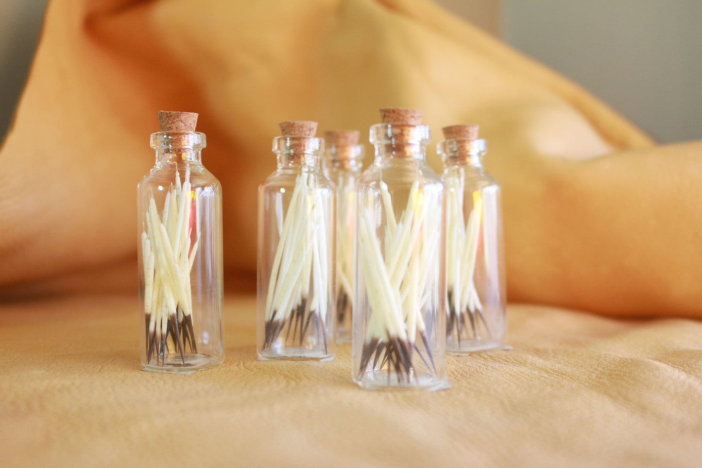 Porcupine Quills - Curiosities & Specimen Jar