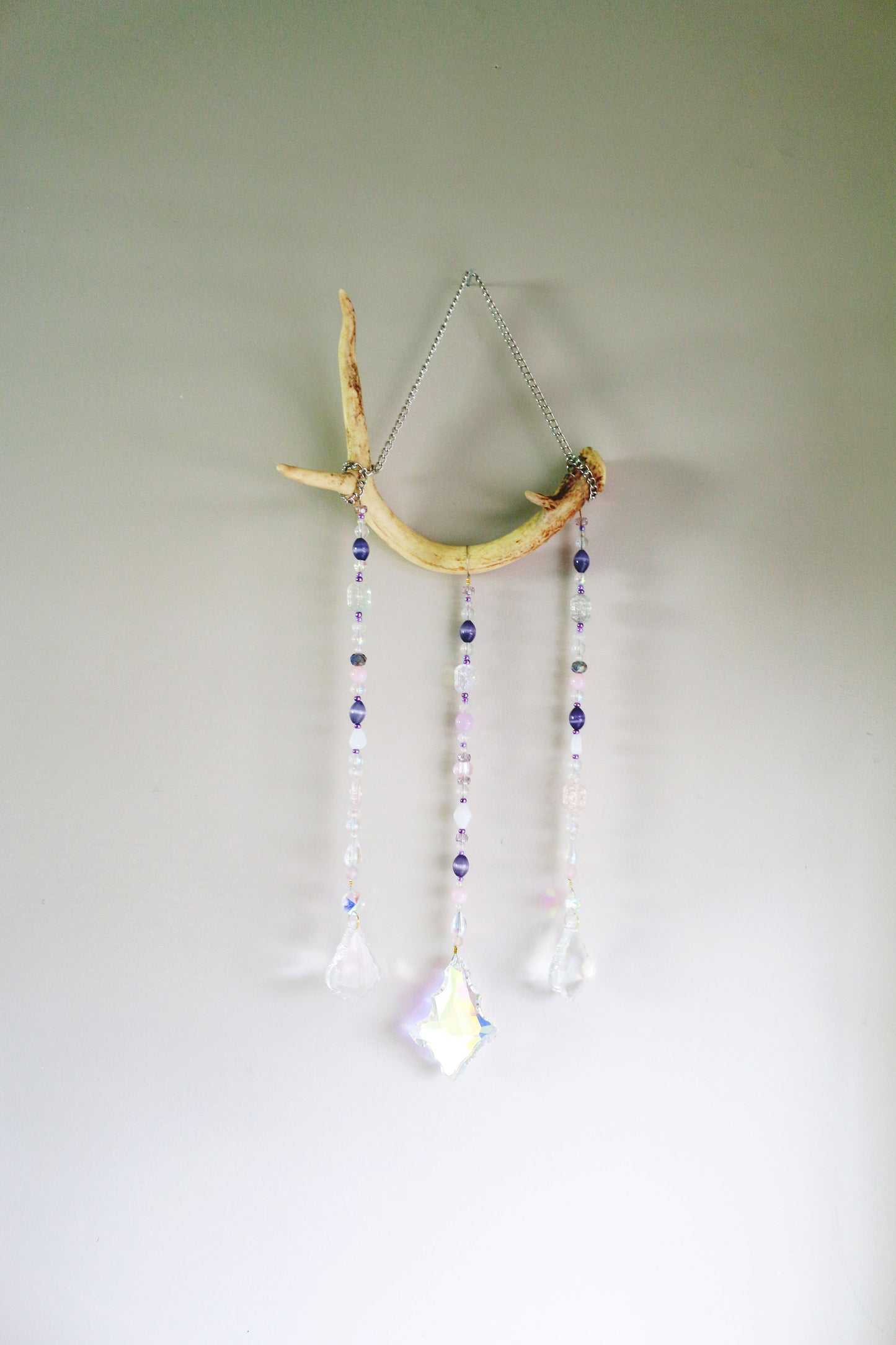 Aurora Antler Suncatcher Oddities