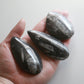 Orthoceras Fossil Spear (3in)