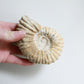 Raw Ammonite (12.7oz)