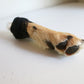 Crystal Coyote Paw