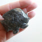 Larvikite Goldfish (2 in)