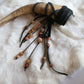 Feral Goat | Quartz & Goat Horn Wand