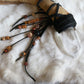 Feral Goat | Quartz & Goat Horn Wand
