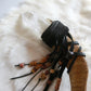 Feral Goat | Quartz & Goat Horn Wand