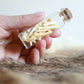 Groundhog Bones - Curiosities & Specimen Jar