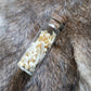 Groundhog Bones - Curiosities & Specimen Jar