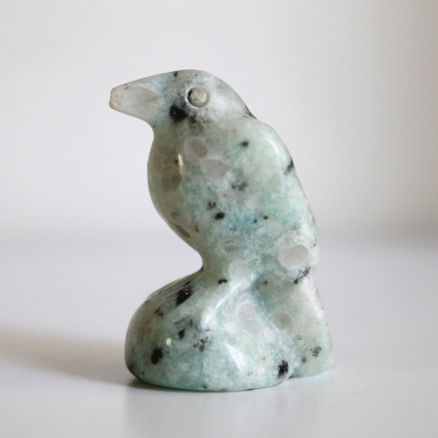 Kiwi Jasper Raven (1.5in)