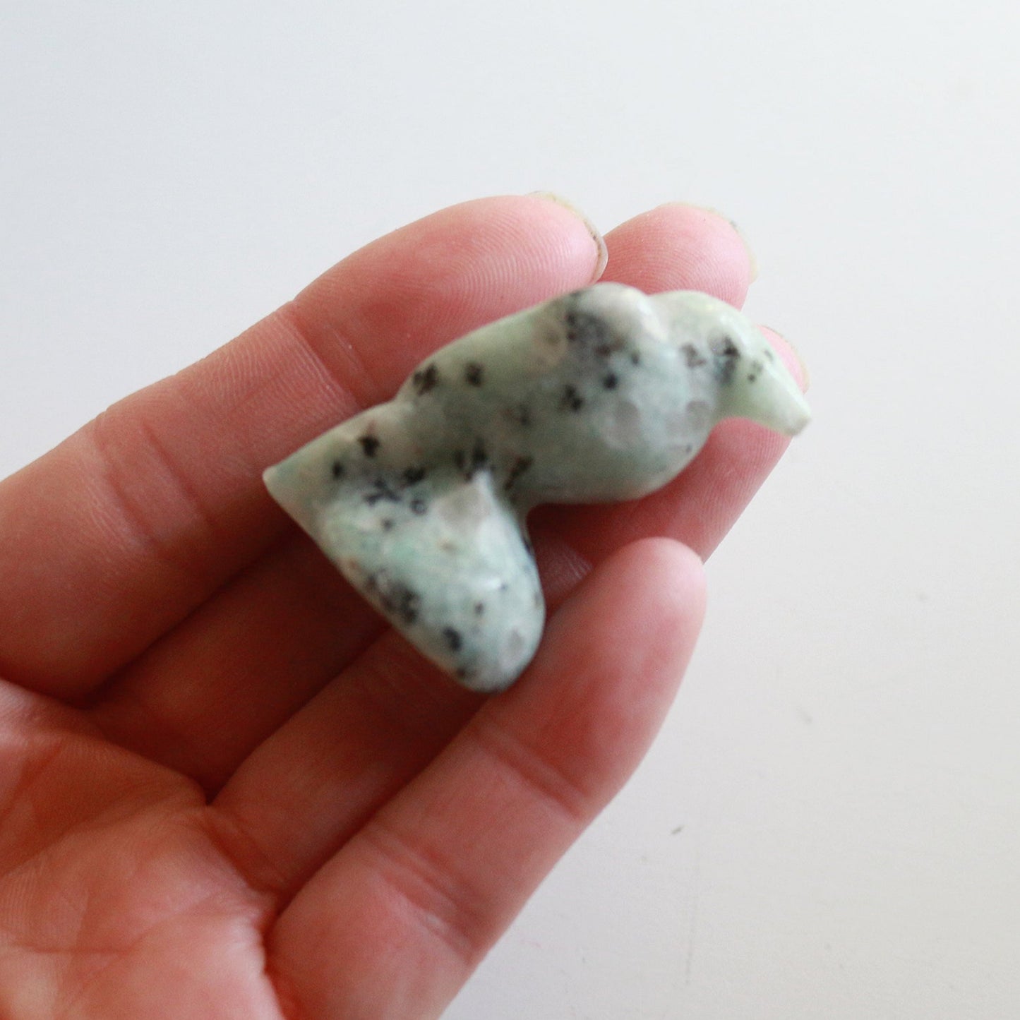 Kiwi Jasper Raven (1.5in)