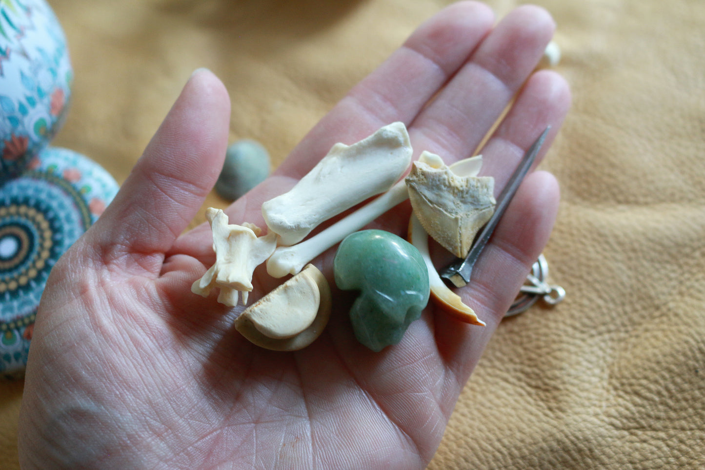 Bone Circle : Bone Throwing / Osteomancy Set