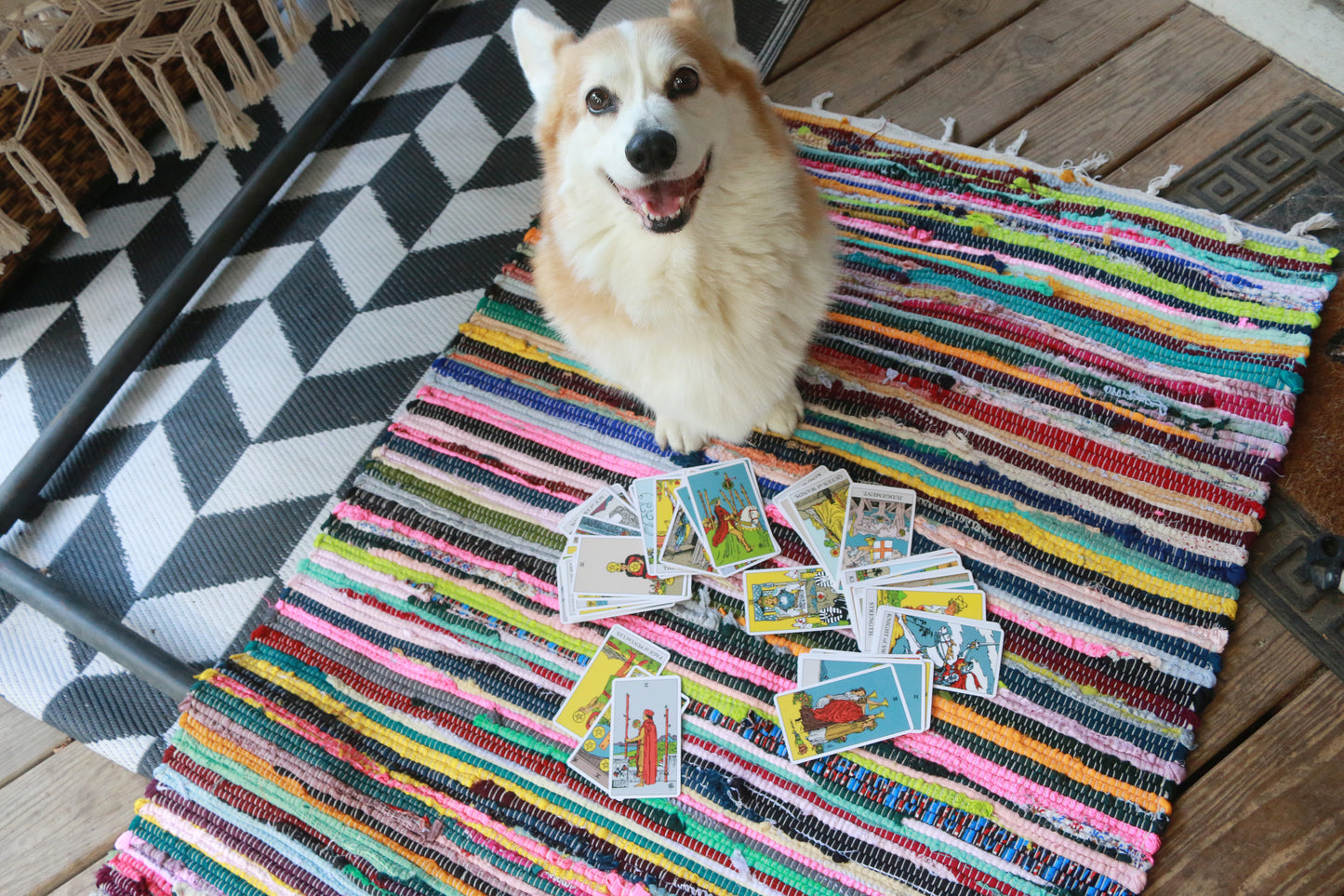Corgi Tarot Readings