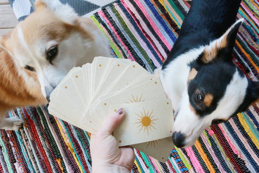 Corgi Tarot Readings