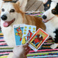 Corgi Tarot Readings