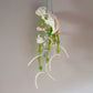 Groundhog Grounds Suncatcher