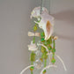 Groundhog Grounds Suncatcher