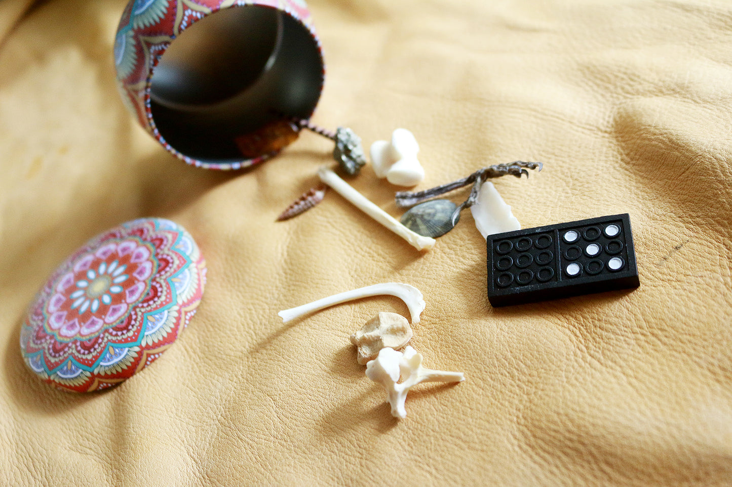 Wisdom Treasures : Bone Throwing / Osteomancy Set