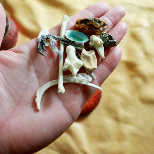 Magical Nature : Bone Throwing / Osteomancy Set