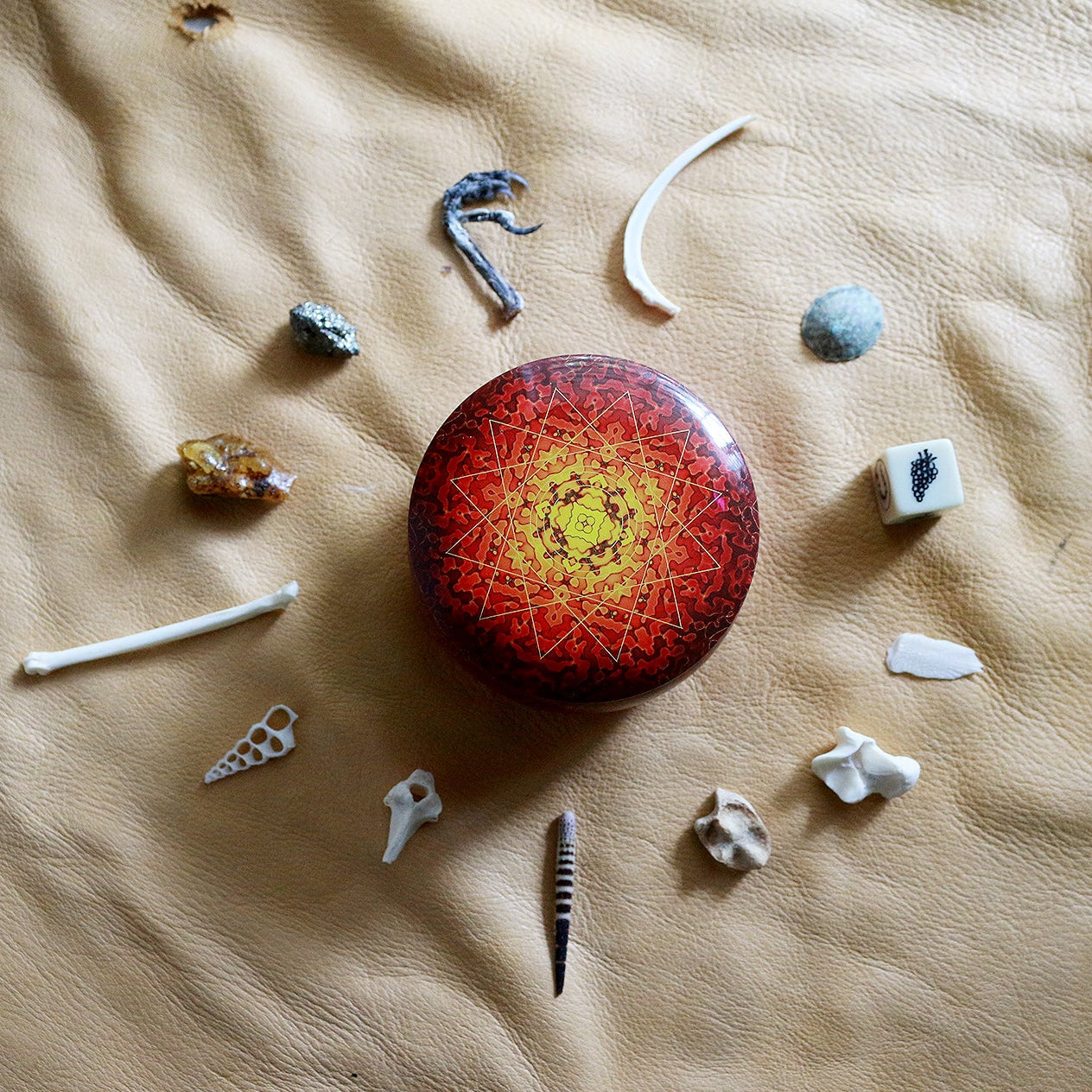 Magical Nature : Bone Throwing / Osteomancy Set