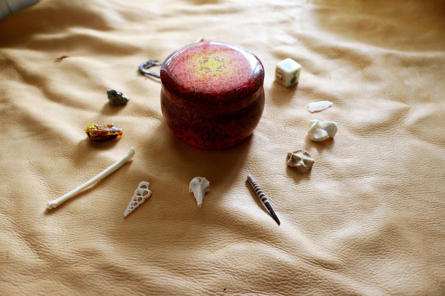 Magical Nature : Bone Throwing / Osteomancy Set