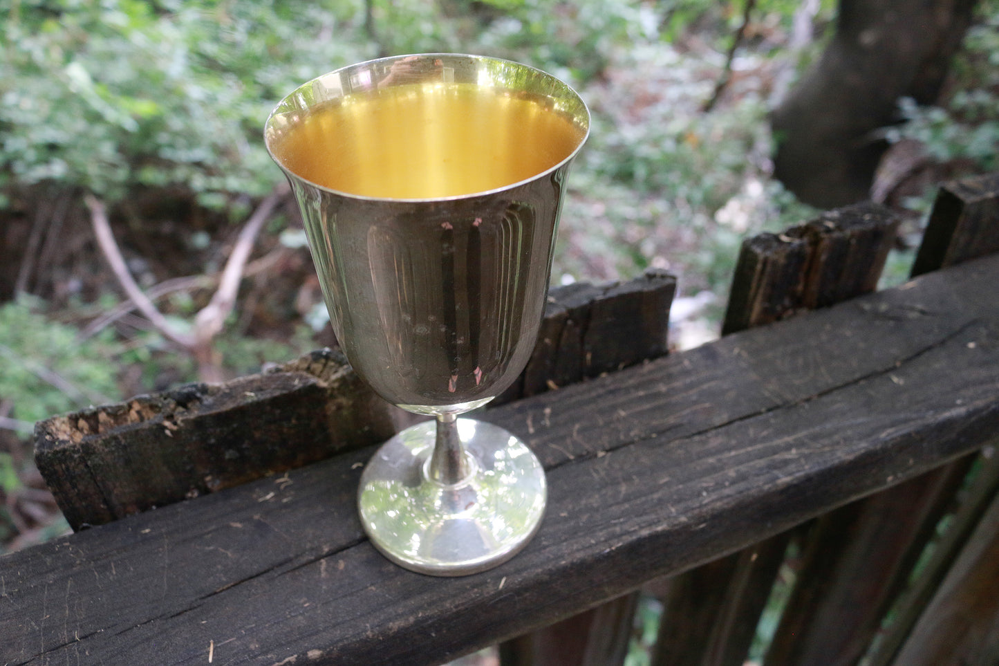 Secondhand Silver Plated Goblet