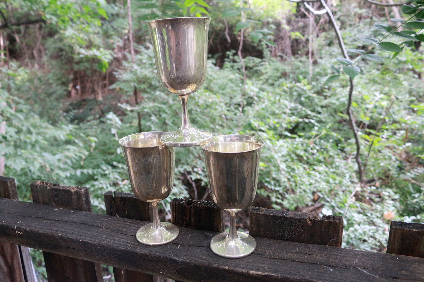 Secondhand Silver Plated Goblet