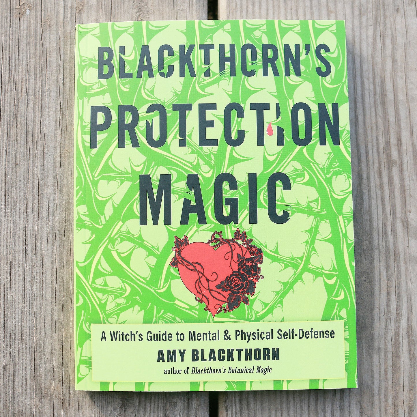 Blackthorn's Protection Magic: A Witch’s Guide to Mental and Physical Self-Defense