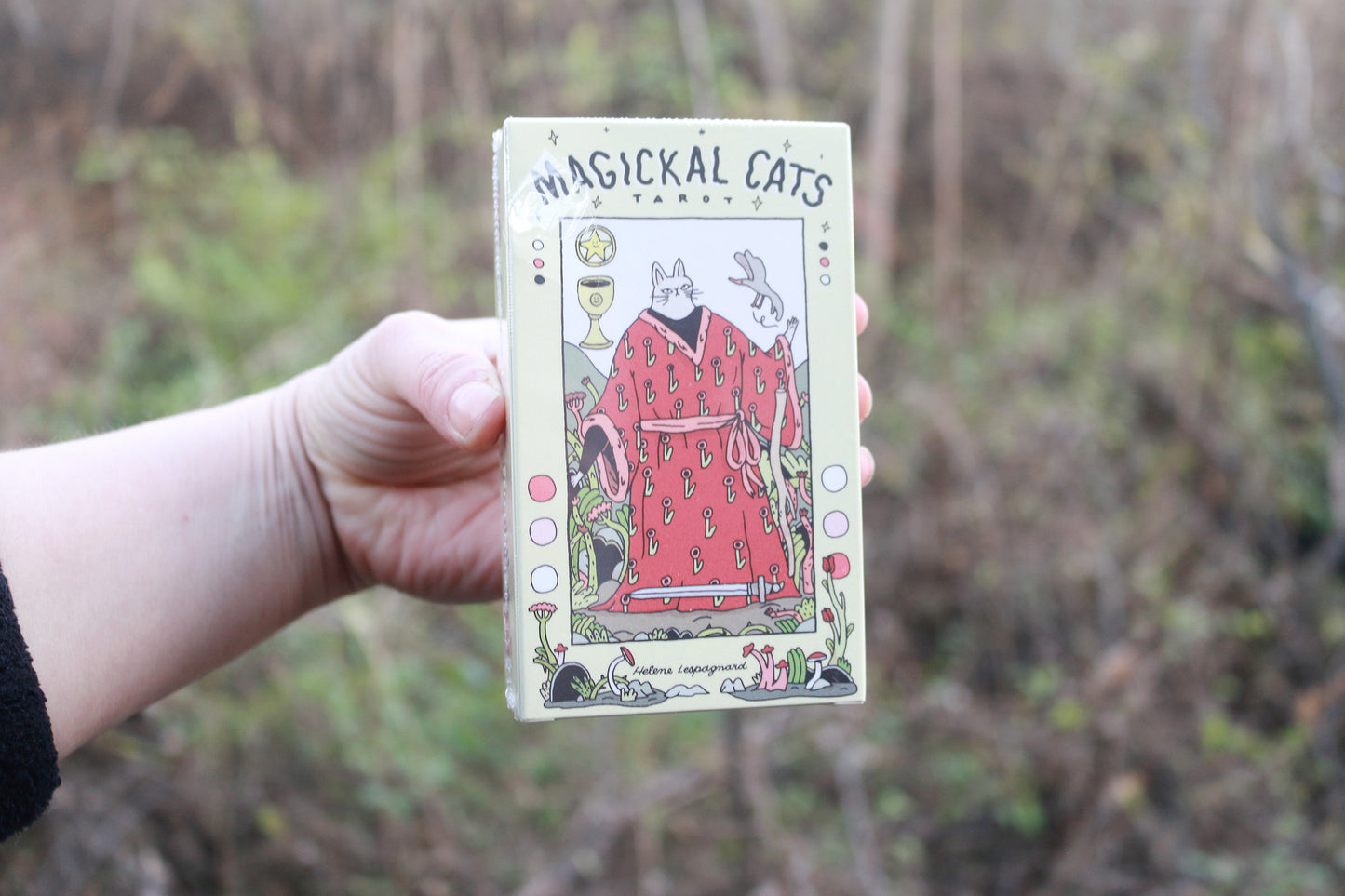 Magickal Cats Tarot