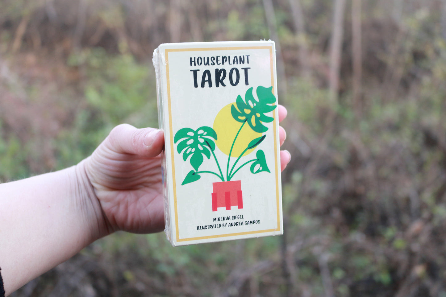 Houseplant Tarot: A 78-Card Deck of Adorable Plants and Succulents for Magical Guidance