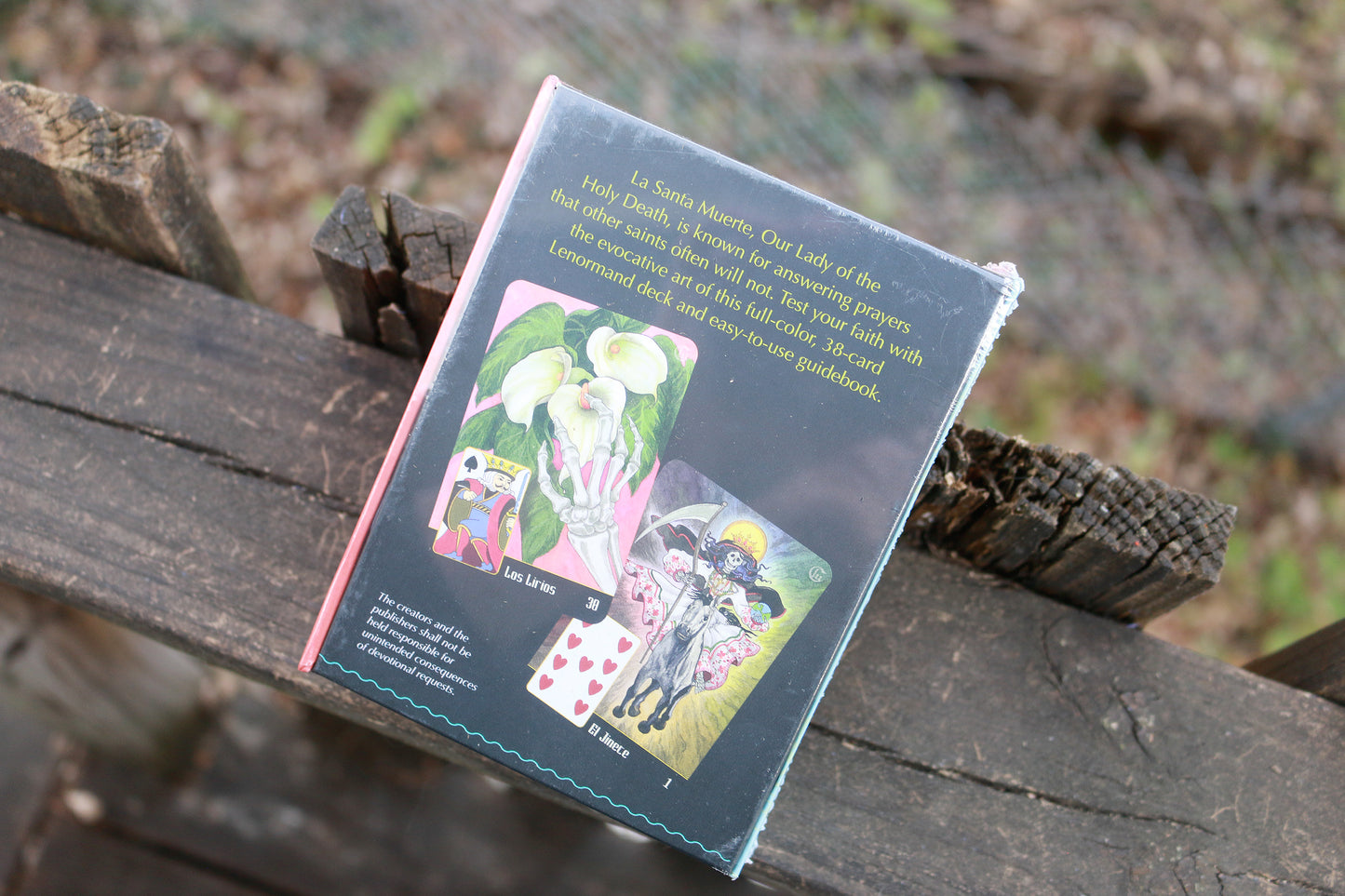 La Santa Muerte Lenormand: (Lenormand Box Set with 36 Cards and Guide Book)