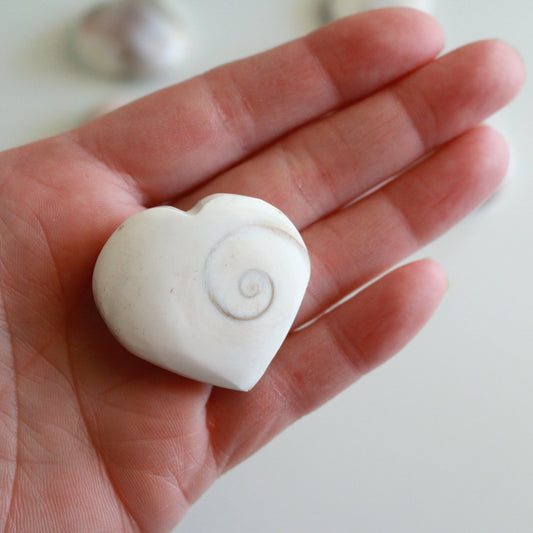 Mermaid Coin / Heart Shell