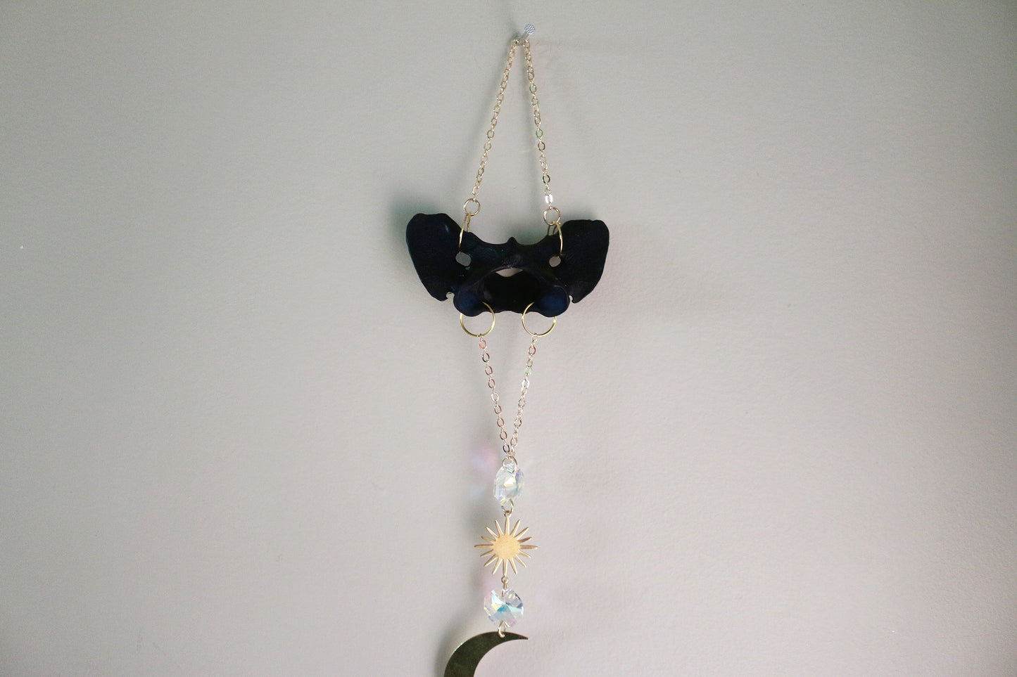 Dark Night Dyed Coyote Atlas Suncatcher