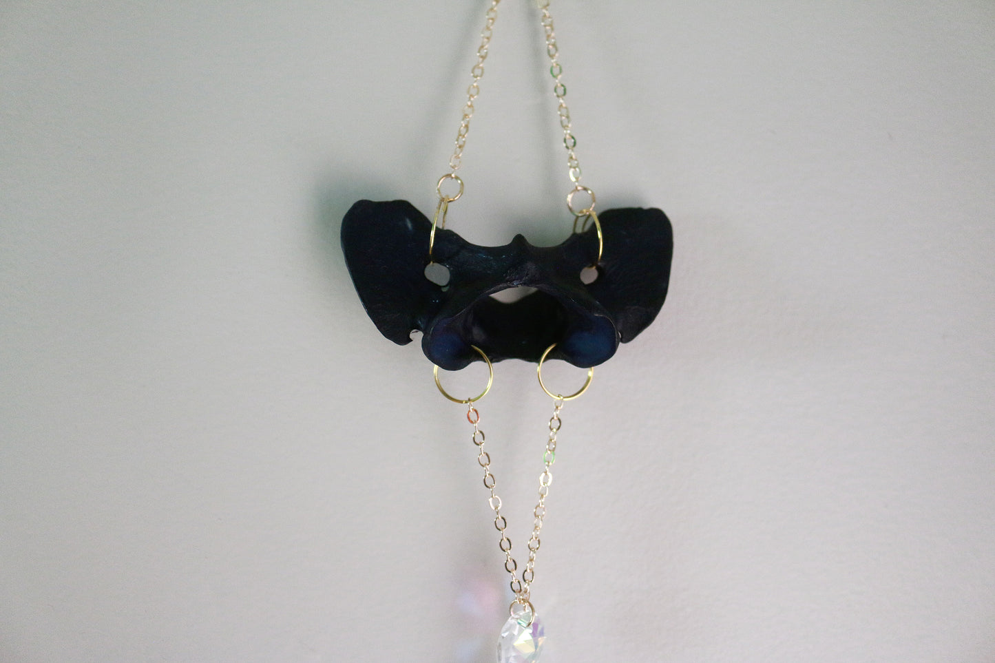 Dark Night Dyed Coyote Atlas Suncatcher