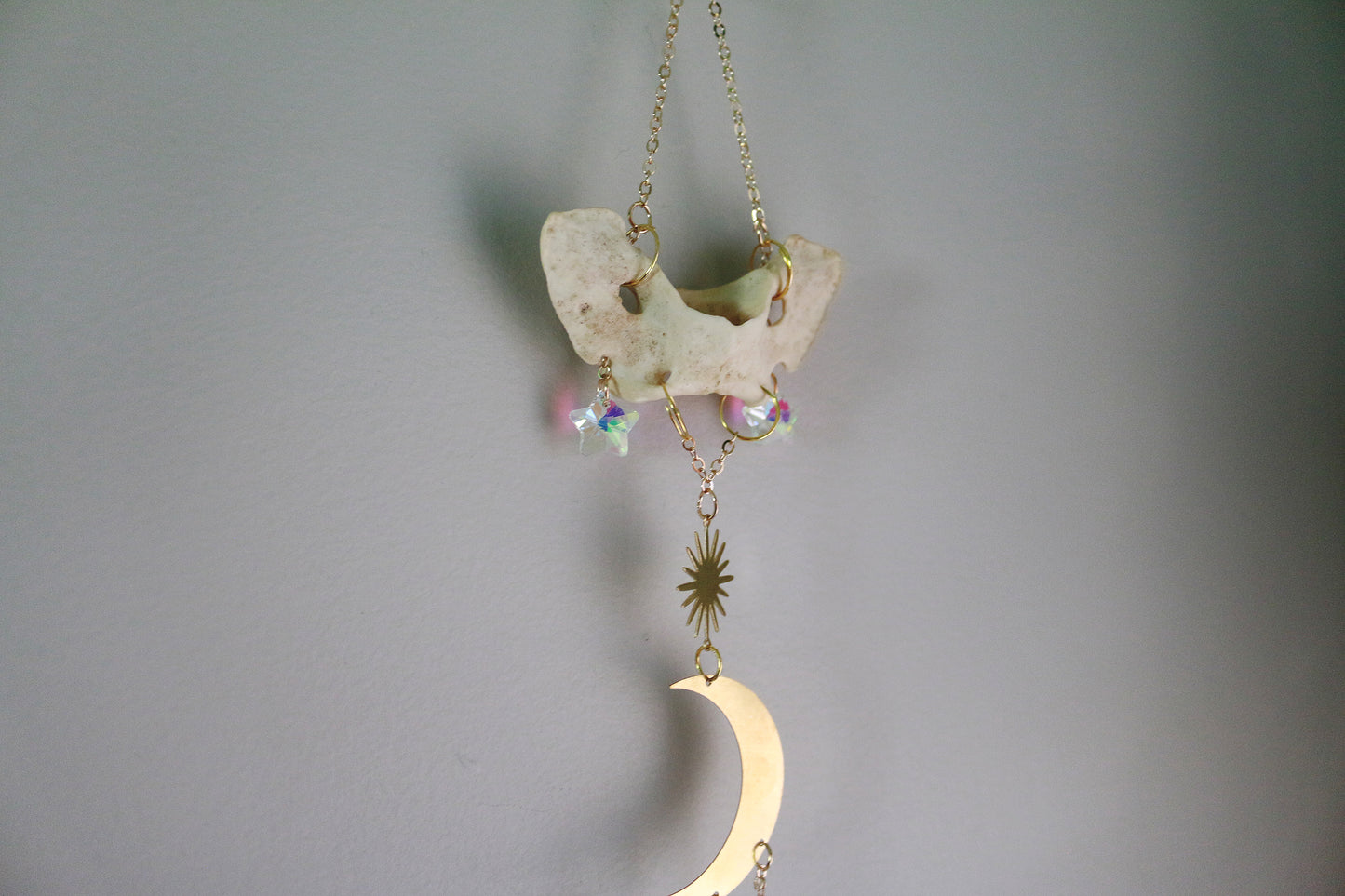 Celestial Moon Coyote Atlas Suncatcher