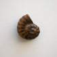 Tigers Eye Ammonite (1.5 in)