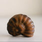 Tigers Eye Ammonite (1.5 in)