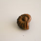 Tigers Eye Ammonite (1.5 in)