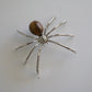 Tiger Eye Spider