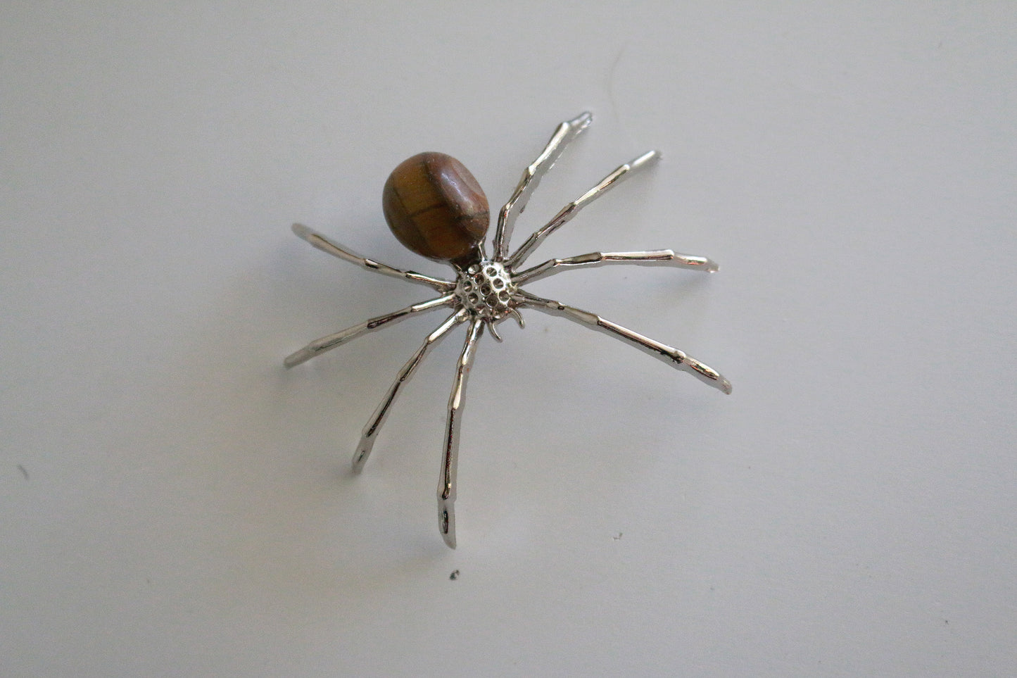 Tiger Eye Spider